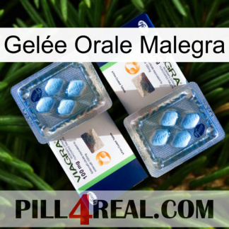 Gelée Orale Malegra viagra5